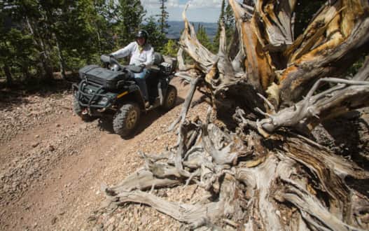 The Paiute Trail is one of the most well-mapped and well-maintained trail systems in the country.