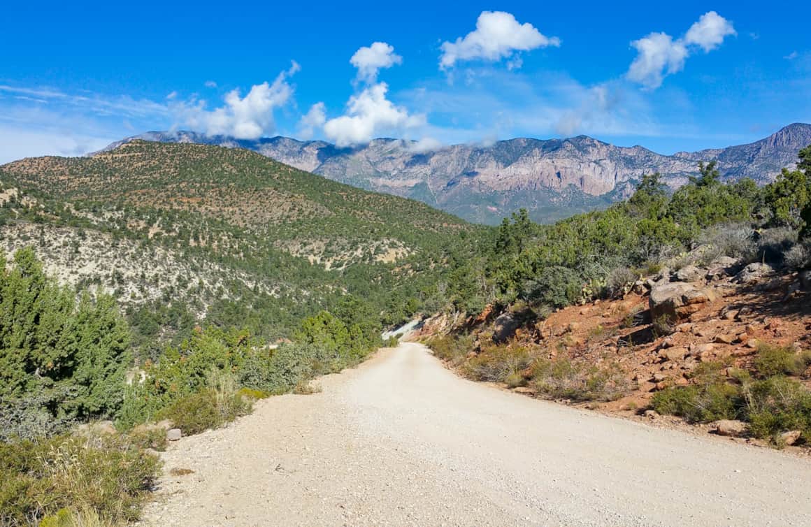 On the Big Hollow trail in Red Cliffs Desert Reserve.