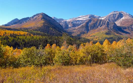 Mt. Timpanogos lined in gold.