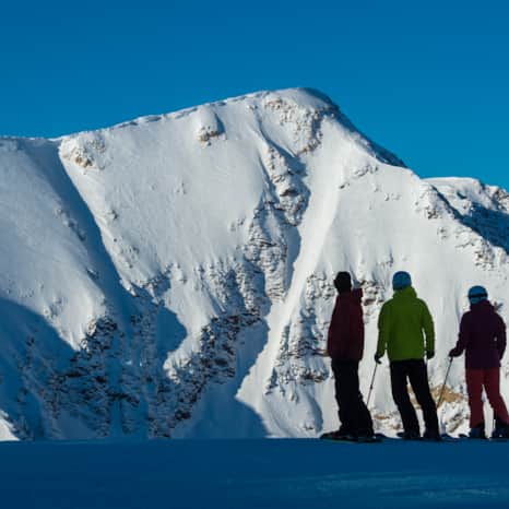 Group lessons and workshops are open to skiers of all levels looking to explore the mountain and refine their skills in the company of others.