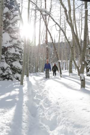 Two hikers walking along a path through the trees, with numerous tracks from other hikers visible in the snow.