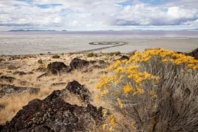 A view of the Spiral Jetty.