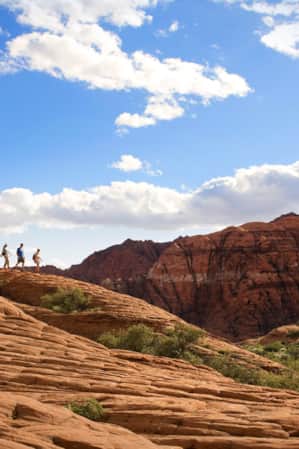 Five hikers stand on top of a plateau, overlooking cliff faces and an open field dotted with desert plants.