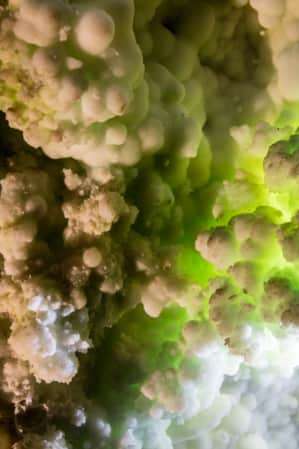 A close-up view of green and white mineral formations growing on a cave wall.
