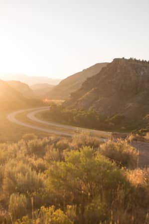 A road winding through grassy hills, bathed in amber light from the sunlight.