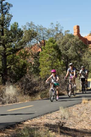 A family of four biking on a paved trail with red rock formations in the distance and trees lining both sides of the path.