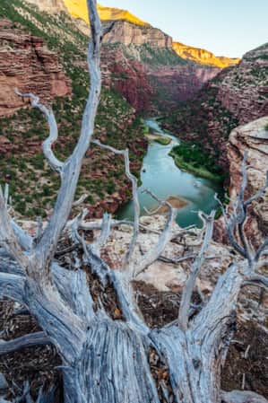 A narrow canyon with greenery on the edges, leading down to a river running through it.
