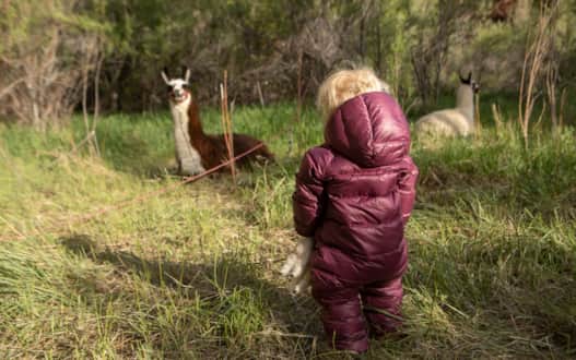 Lilah checking out Montana.