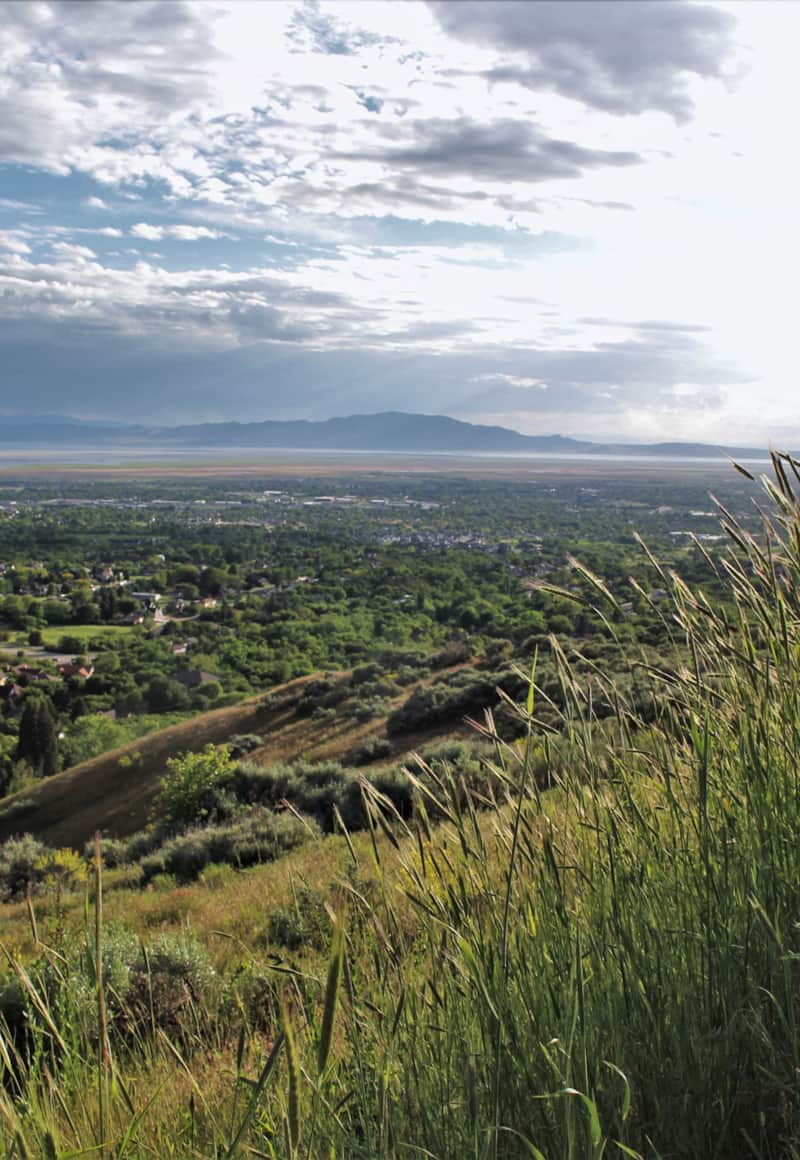 Adams Canyon Trail is a local favorite.