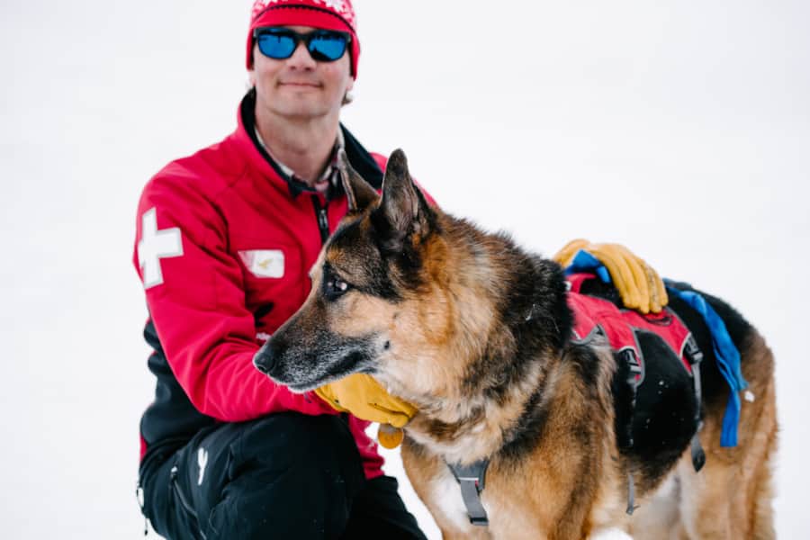 Bridger, a senior German shepherd at Solitude keeps patrons on the mountain safe.