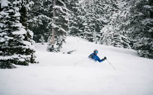 Dippo enjoying fresh powder at Alta Ski Area.