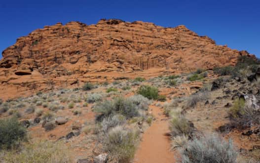 Snow Canyon State Park