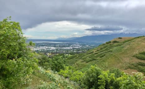 Enjoy the beauty of summertime wildflowers through Wild Rose Trail.