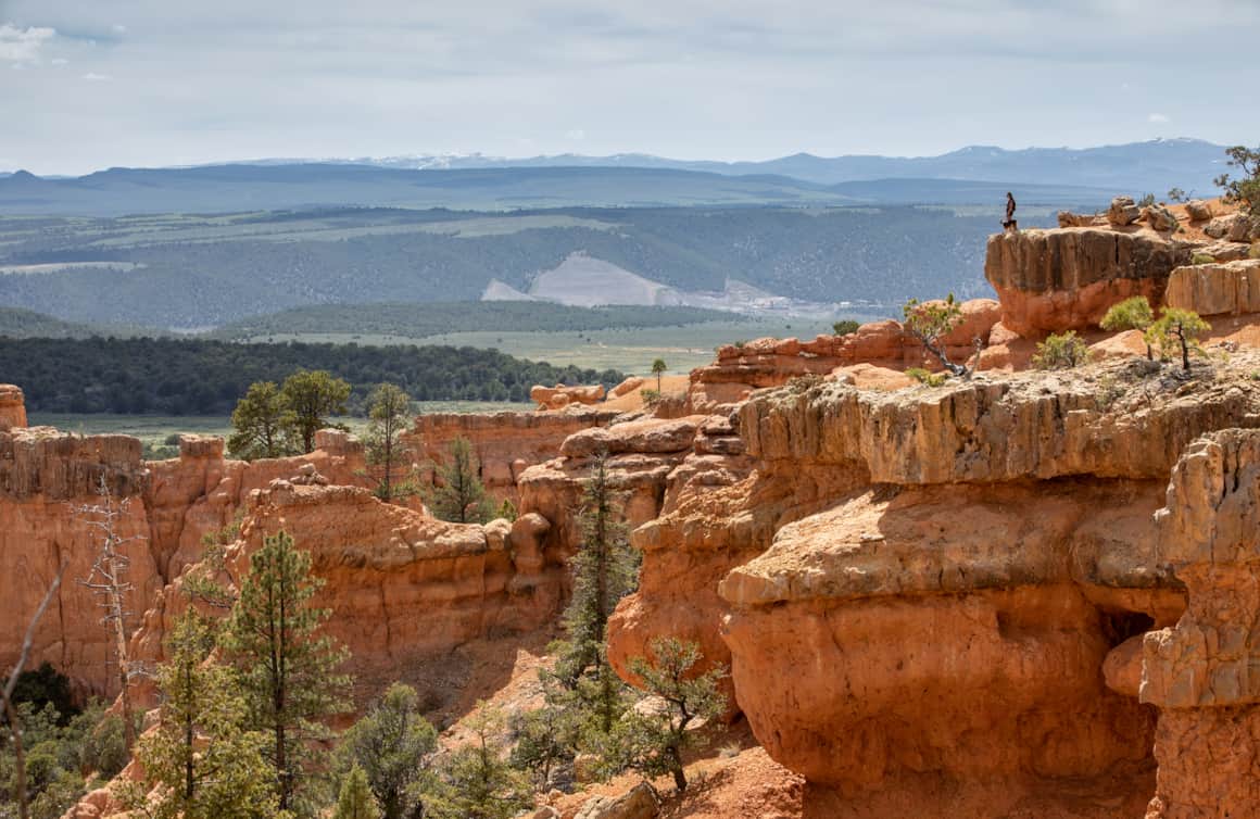 Red Canyon
