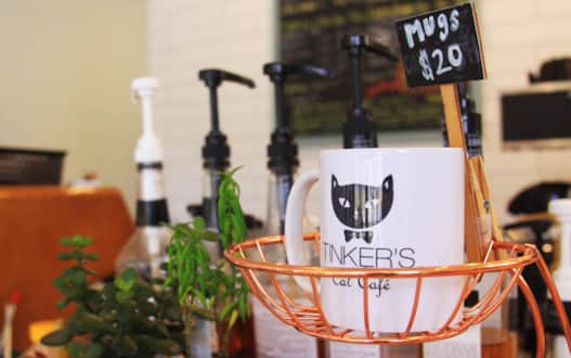 Tinker's Cat Café