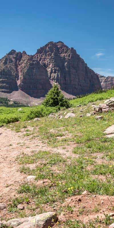 Thanks to the high elevation, the backcountry trails of the High Uintas Wilderness usually lead to incredible, panoramic views.