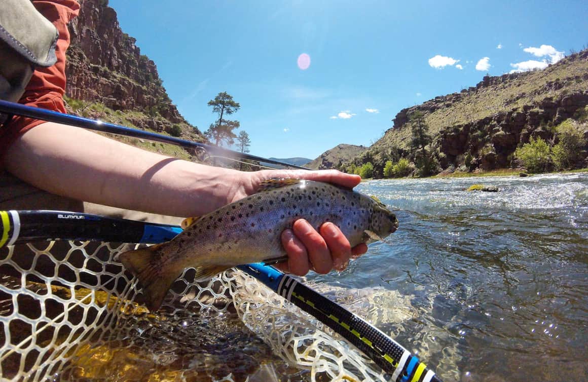 Varying water temperatures through the seasons create unique scenarios for anglers after trophy lake trout and a number of other fish species.