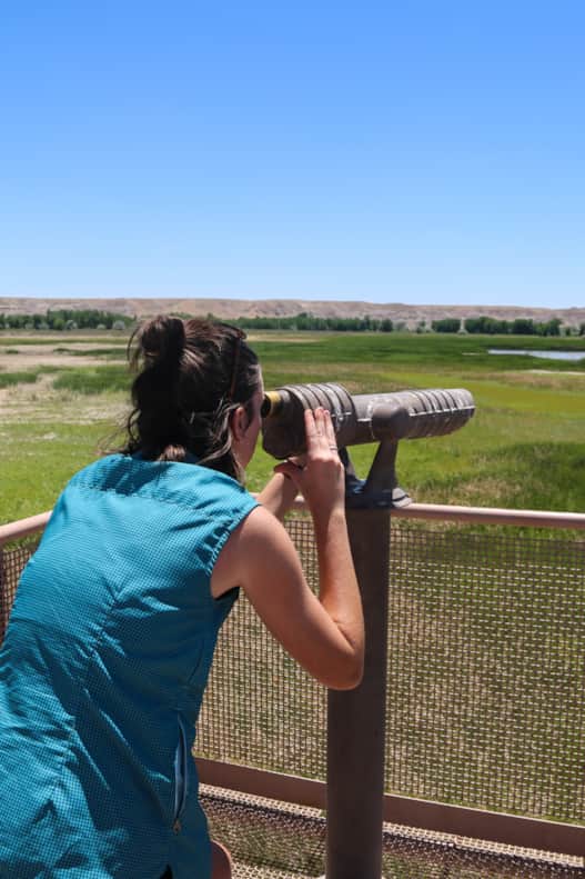 web2000__ouray_national_wildlife_refuge_vernal_area_sara_hobbs_img_3156