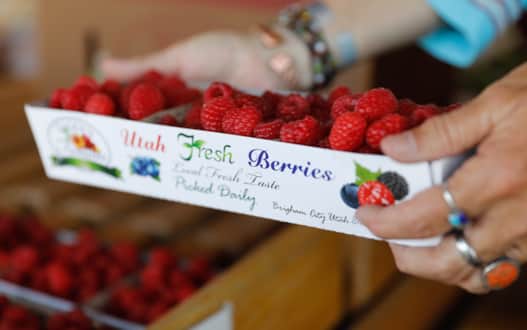 The Fruit Way lines a stretch of historic Highway 89 between Willard and Brigham City just off the interstate. That few extra minutes can result in lots of fresh-picked produce and local food products like cheese curds and shakes for the road trip still ahead.