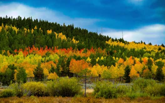 sheep-creek-brownieturnoff-2000