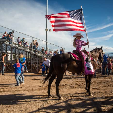 Sevier County Fair