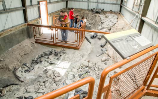 Cleveland-Lloyd Dinosaur Quarry