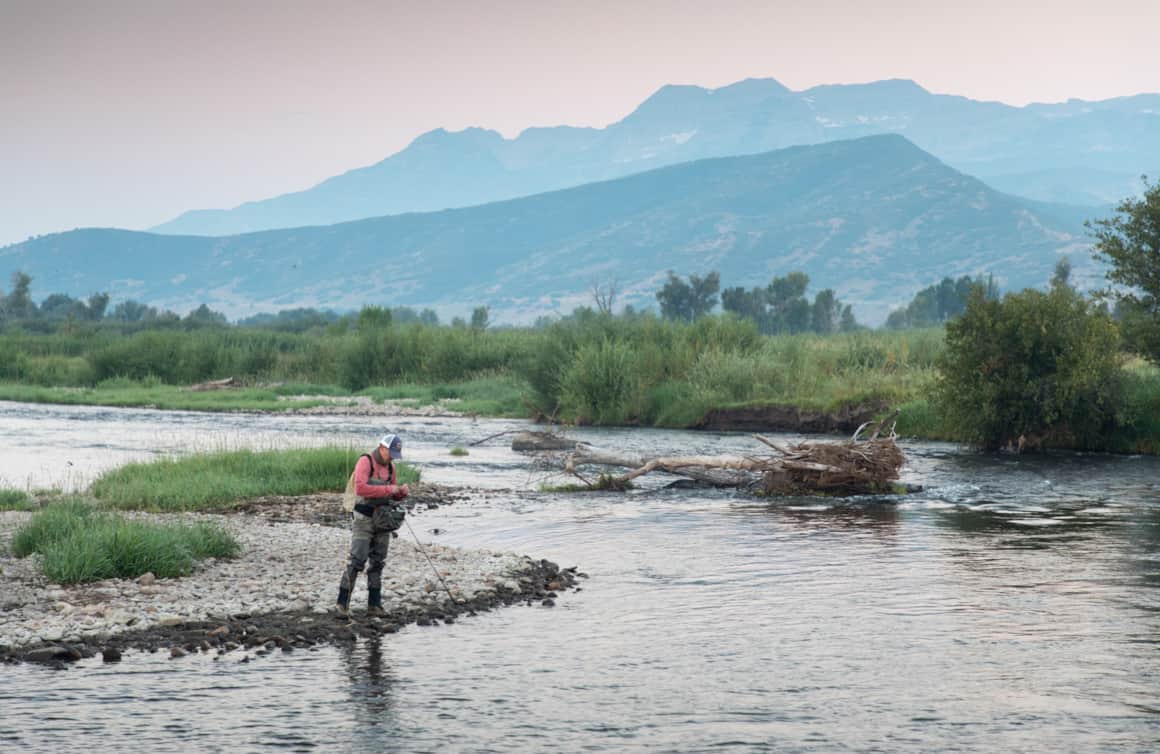 The result of the Provo River Restoration Project is a great wildlife habitat, and prime angling.