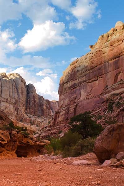 Grand Wash Trail Capitol Reef