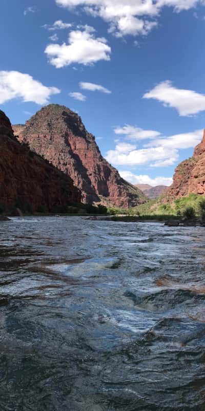 The wide, cool waters of the Green River within Lodore Canyon.