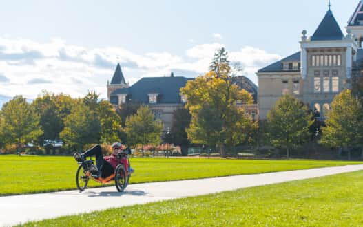 Utah State University's campus has a historical charm and many public educational offerings including museums and galleries.