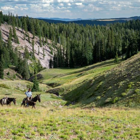 Horseback riding through the Tushar Range.