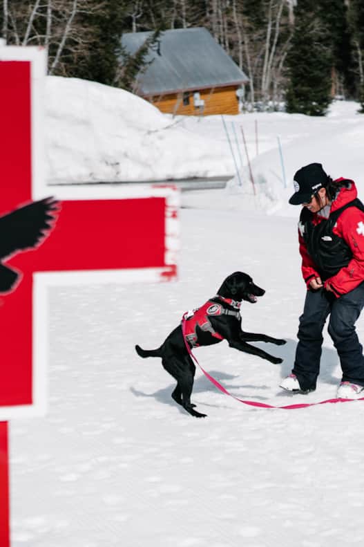 “When you’re cruising around the mountain with a dog, it’s like the paparazzi are out. Everyone wants to take a photo,” says Keith Sternfels.