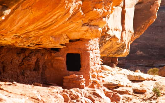web2000_redrockliteraturebearsears-utah-cedarmesa-serago-2018_9379_a