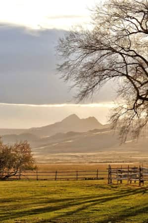 Grass fields with mountains in the backdrop at Antelope Island.