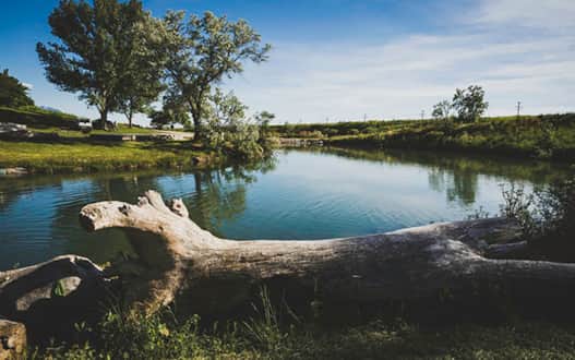 Cyrstal Hot Springs ranges in temperature from 120-134 degrees F and holds the highest mineral content found in the United States.