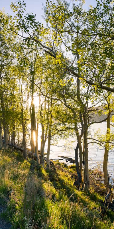 Lakeside trails are popular for hiking and mountain biking.