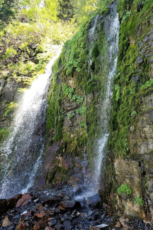 Scout Falls.