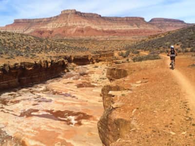 Mountain biking the Hurricane Rim Trail.