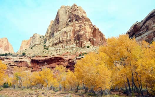 The warmth of a fall landscape in Fremont River Canyon, Capitol Reef.