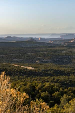 An expansive view of rolling hills covered in green vegetation, with red rock formations in the far distance.