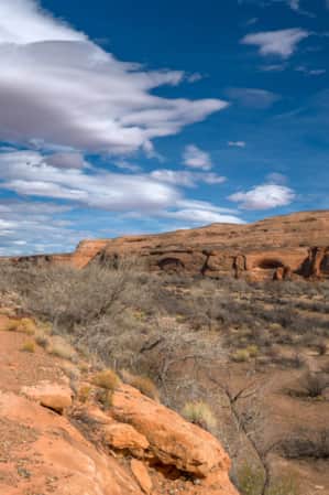 A scenic view of a red rock landscape, with sparse vegetation and various rock formations.