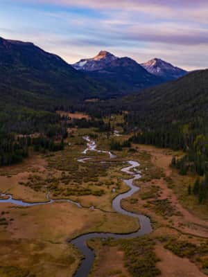 web2000__xmasmeadows_03_fullres