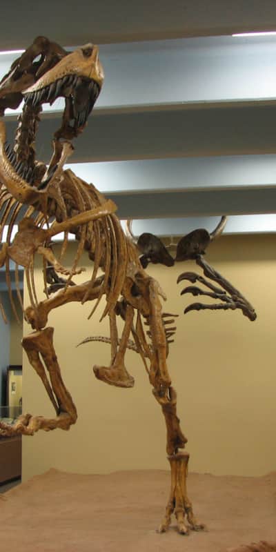 The Blanding Dinosaur Museum is worth stopping to see.