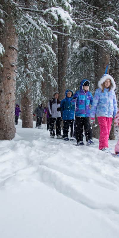 No special lesson or years of practice required, and fun for the whole family.