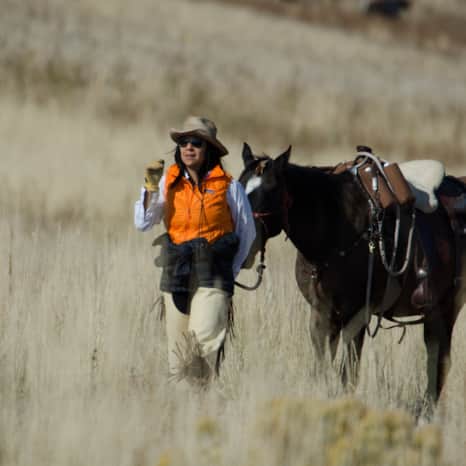 Roundup rider leads a horse through bison country.