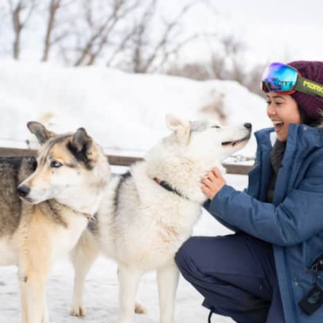 Guided dog sled tours might just be the most unique way to explore Park City’s snow-covered mountains, trails and forests.