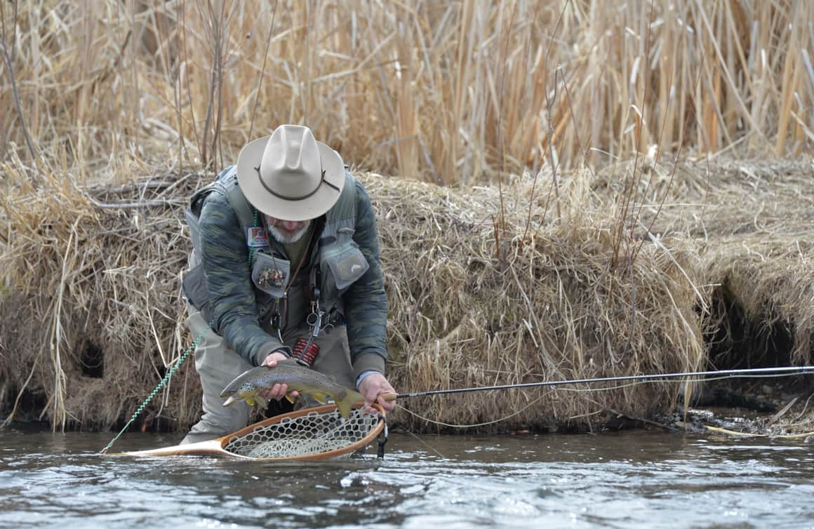 The lower Provo River shows a healthy population of brown trout, rainbow trout and mountain whitefish.