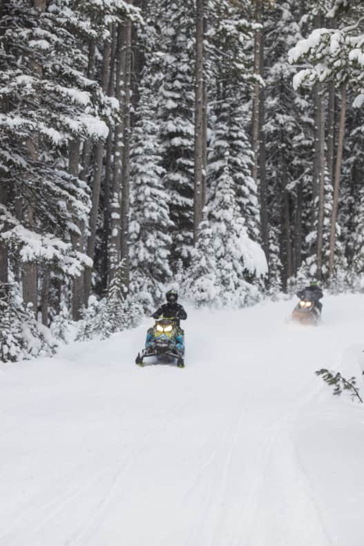 There are over 350 miles of trails in the Bear Lake region.