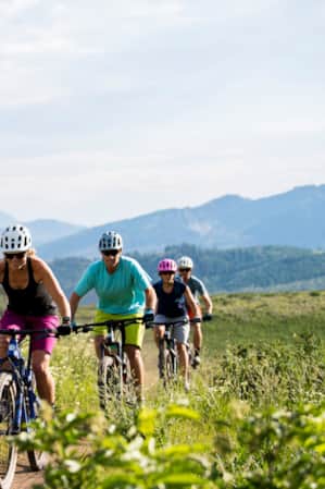 Four people cycling on a narrow dirt trail, with green grass and wildflowers on each side.