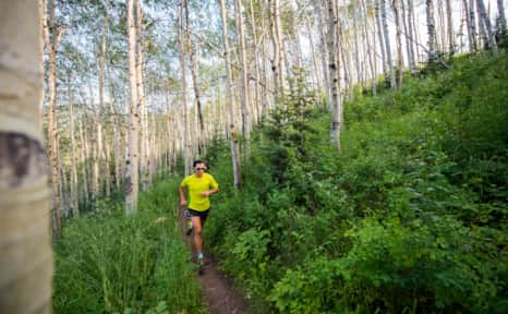 Choose your own human powered adventure through Park City's aspen groves.